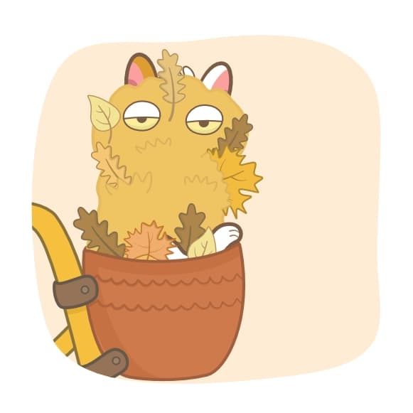 Connect with autumn