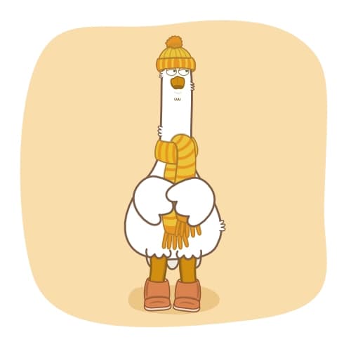 Cozy Fall Advice