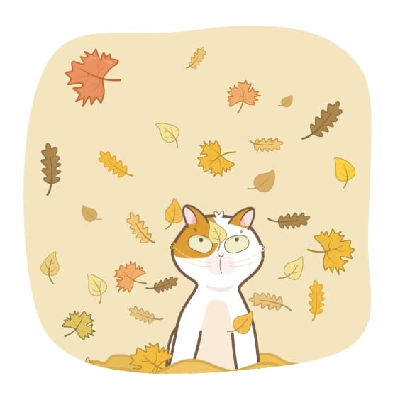 Dive into Autumn