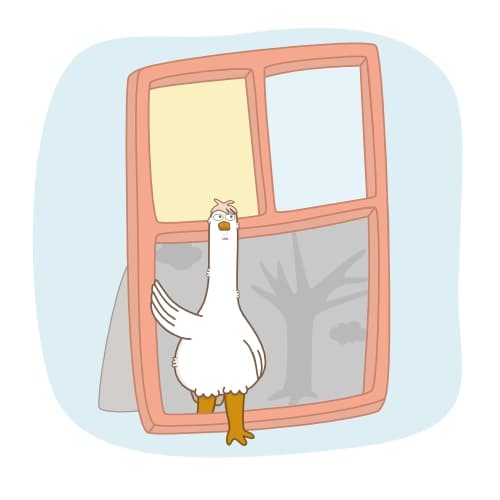 Step outside the frame