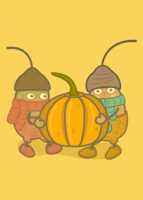 Funny Acorns with pumpkin