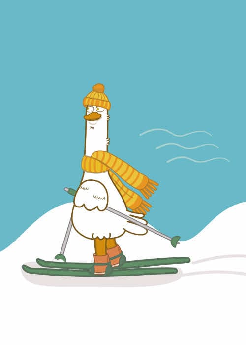 Go skiing