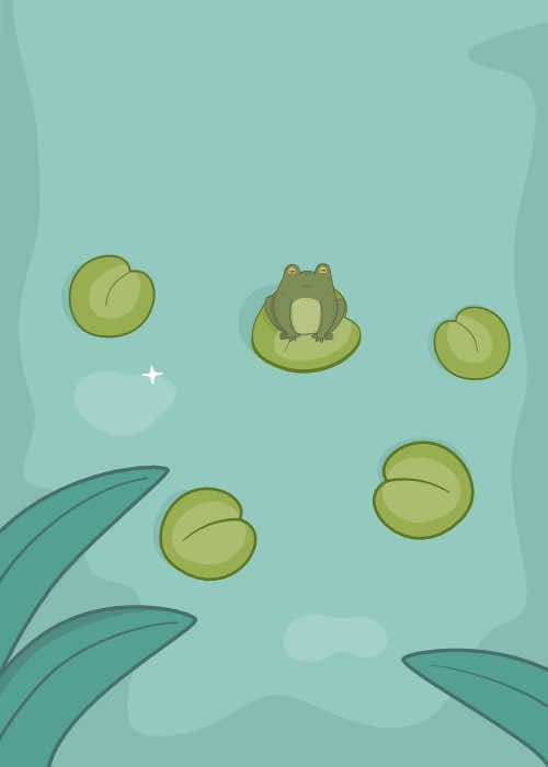 Summer pond