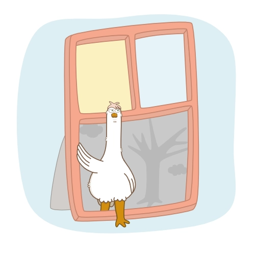 Step outside the frame